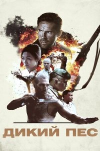 Дивитися Дикий пес онлайн в якості HD