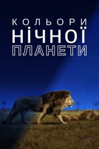 Дивитися Кольори нічної планети онлайн в якості HD