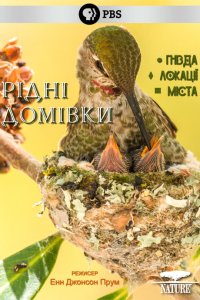 Рідні домівки