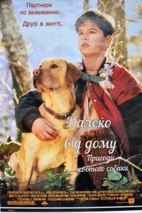 Дивитися Уроки виживання / Далеко від дому. Пригоди жовтого собаки онлайн в якості HD